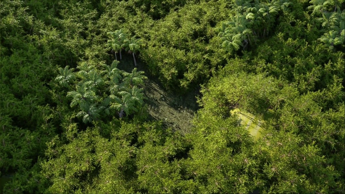 Jungle Ruins, fully path traced in real time. Intel Labs, Path Tracing a Trillion Triangles, figure 1.